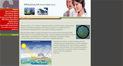 Desktop Screenshot of ma-analyzers.com